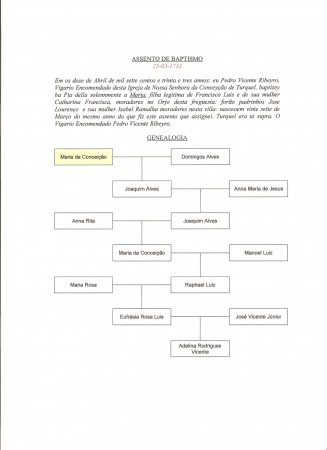 Genealogia de Maria da Conceição (27.03.1733)